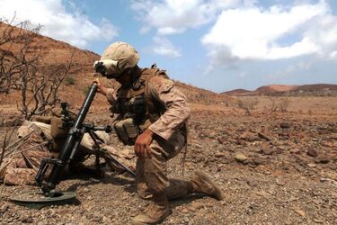 Американський міномет М224 знищує окупантів (відео)