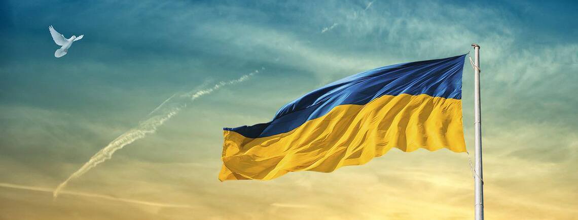 16-річна українка на турнірі з боксу в Угорщині на п'єдесталі підняла прапор із емблемою 'Азова' (ВІДЕО)