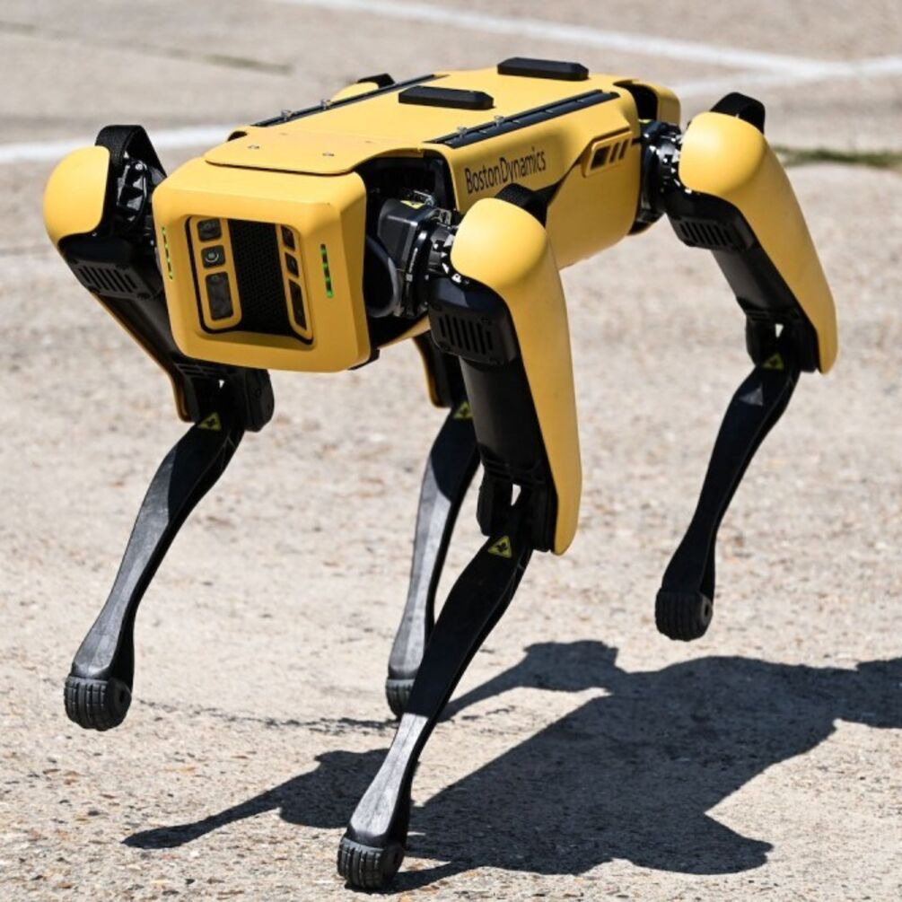 США передадут Украине робота-собаку для разминирования за $70 тысяч (ВИДЕО)
