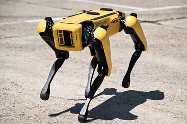 собака-робот Spot 