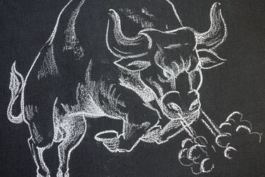 По мнению астрологов самым могущественным из всех знаков является Телец