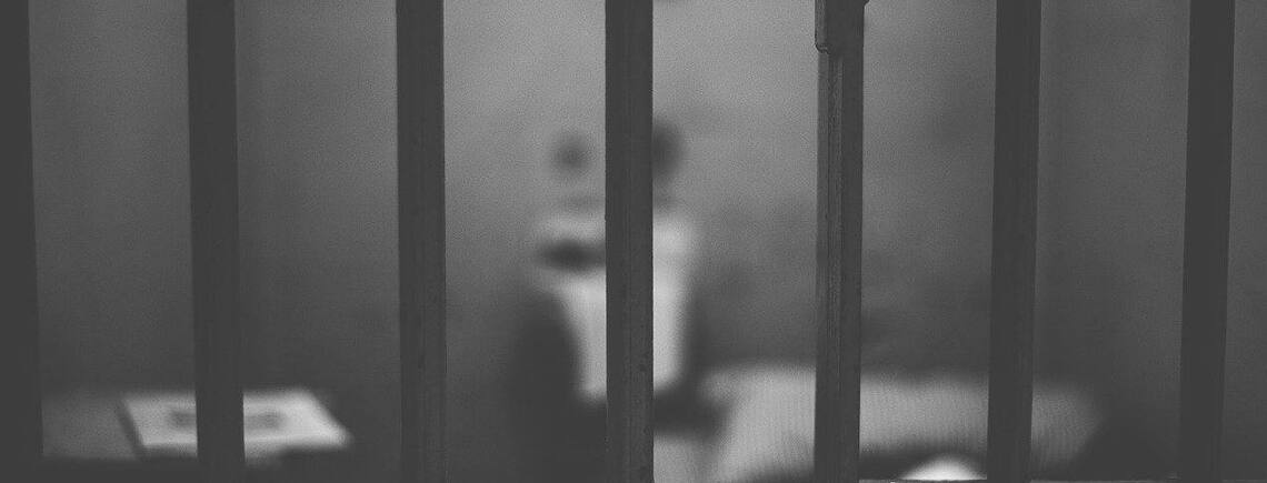 У СІЗО відправили 18-річного живодера з Чернівців, який на камеру вбив павича: Йому загрожує 8 років ув'язнення