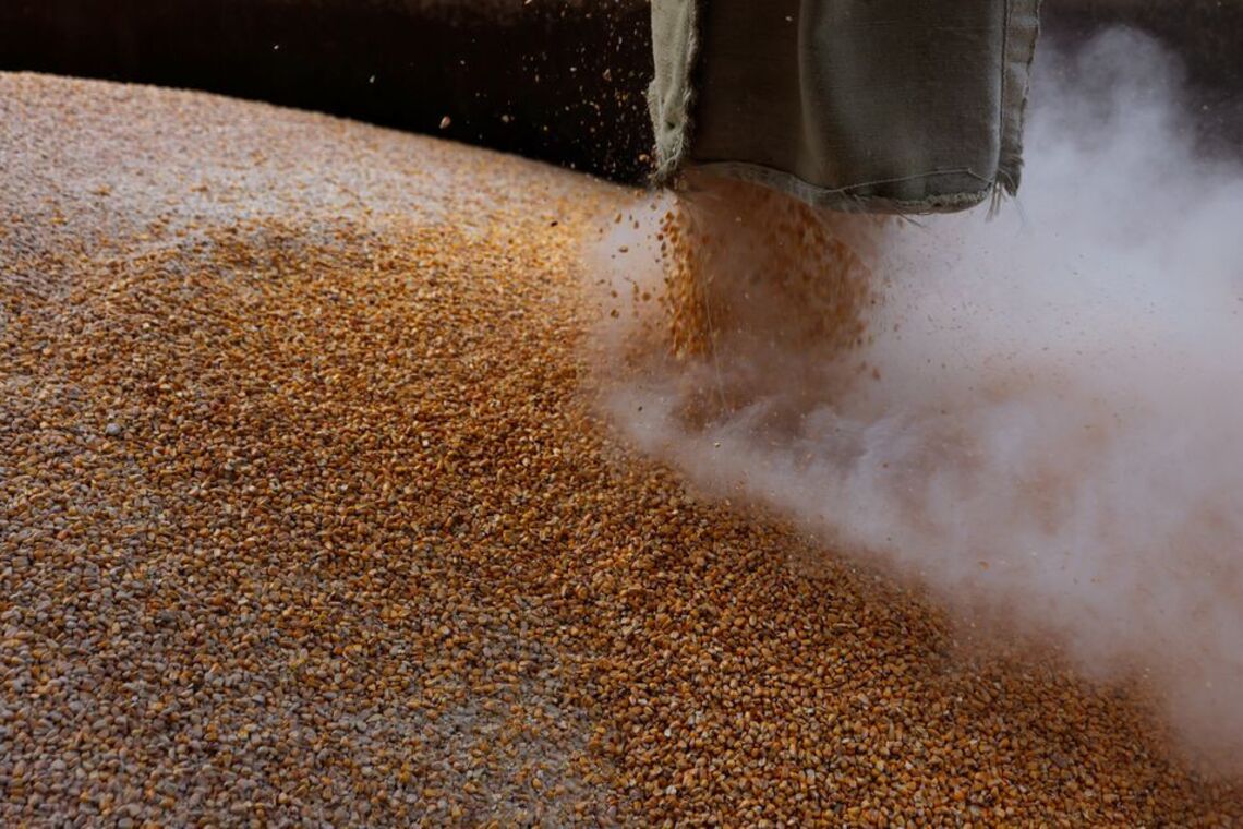Туреччина купує вкрадене Росією українське зерно