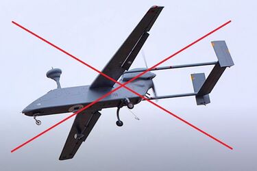 БПЛА 'Форпост'