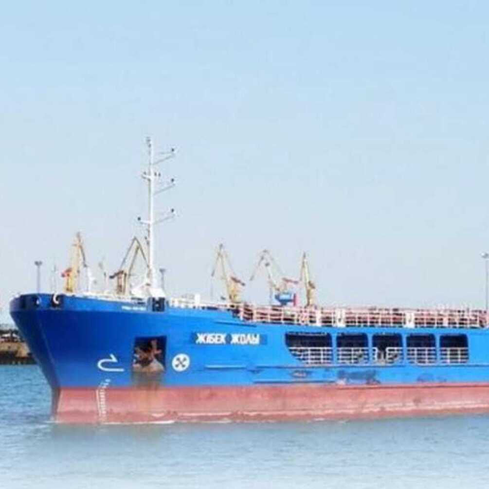 Україна вимагає від Туреччини затримати судно з краденим із Бердянська зерном