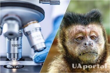 У РФ підтверджено перший випадок віспи мавп