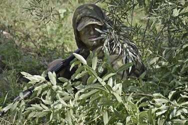 Війна в Україні