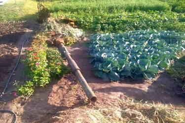 Танк на городі