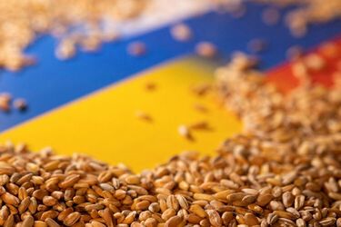 Експорт українського зерна