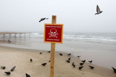 Опасность на пляже