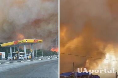 Коллаж UAportal