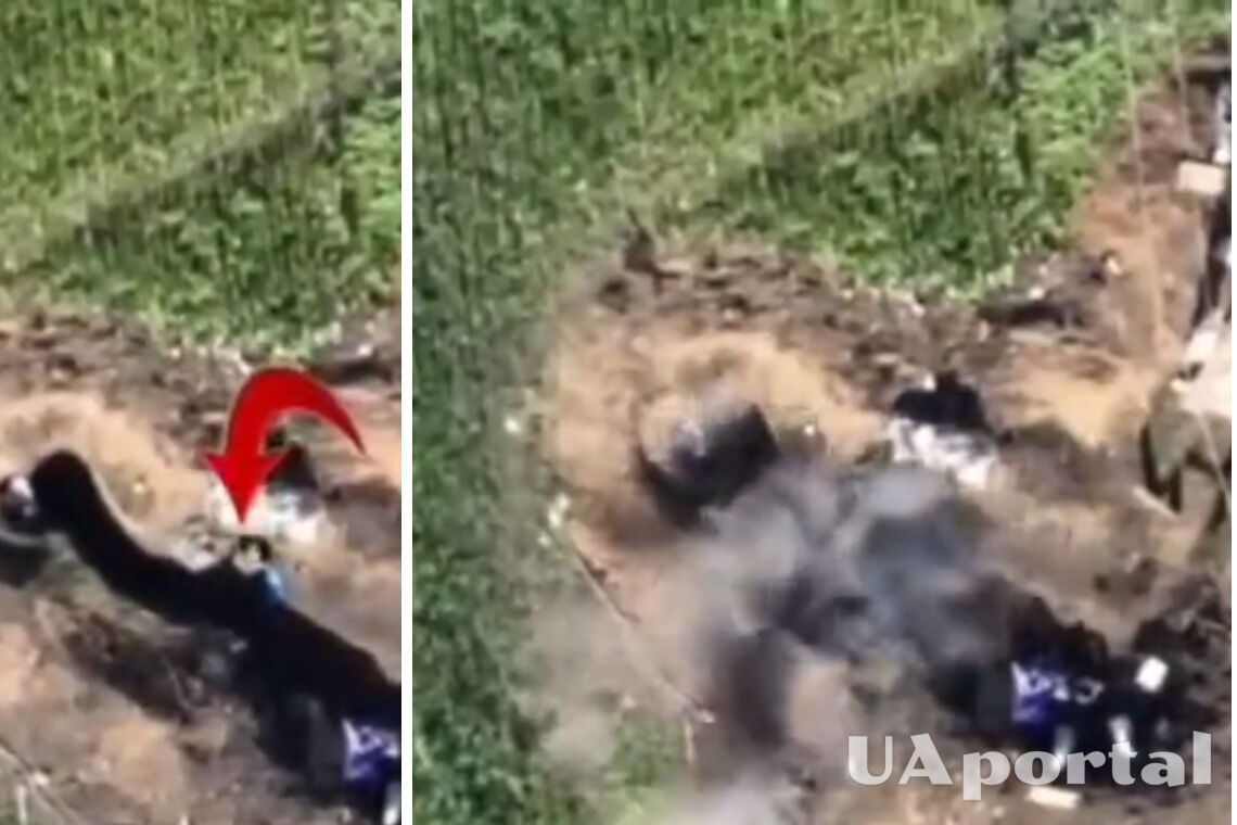 ВСУ попали миной с дрона в окоп к оккупантам