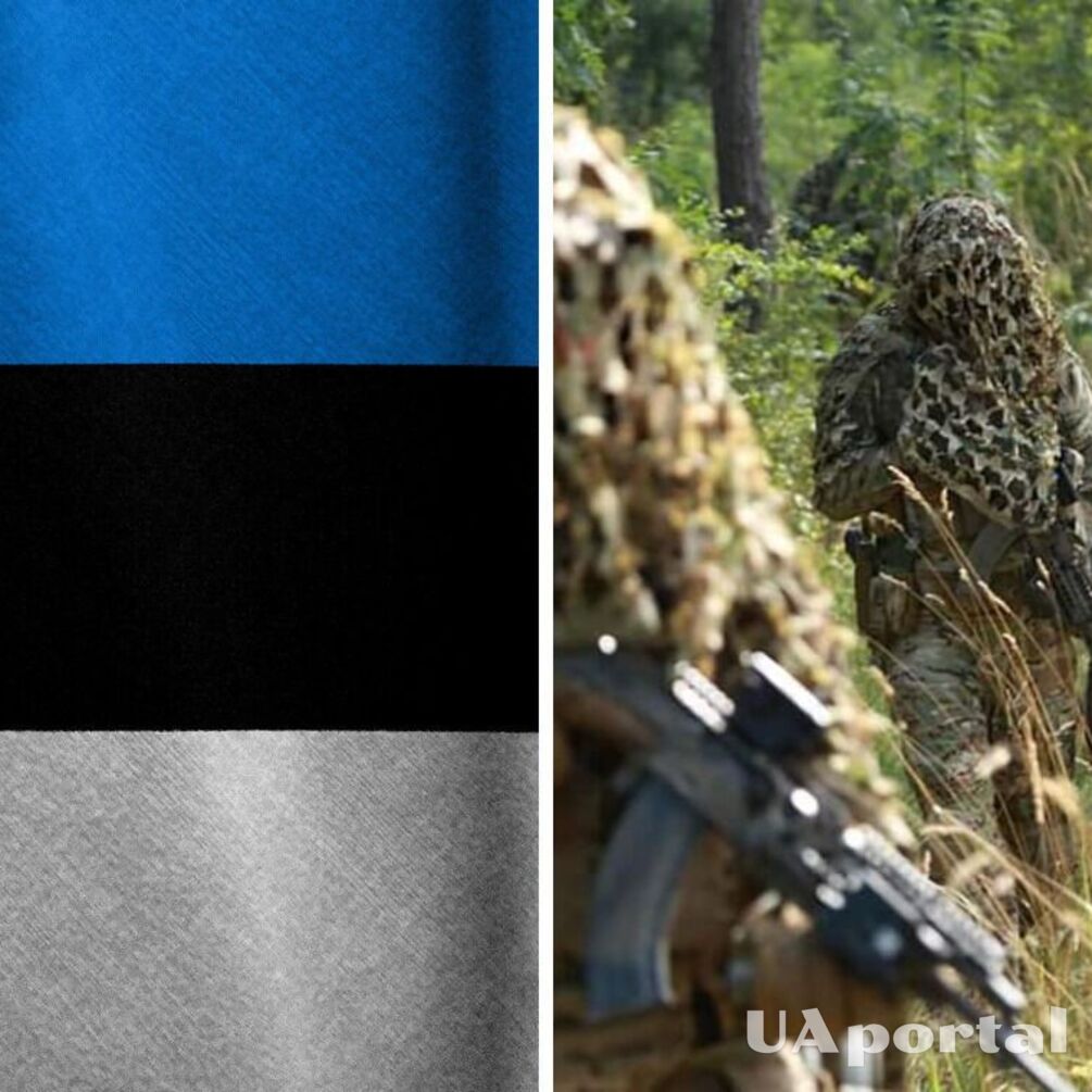 Естонія ухвалила нову військову допомогу Україні: передадуть міномети та протитанкові засоби