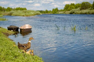 'Африканська спека' спаде: синоптики розповіли про погоду на вихідні