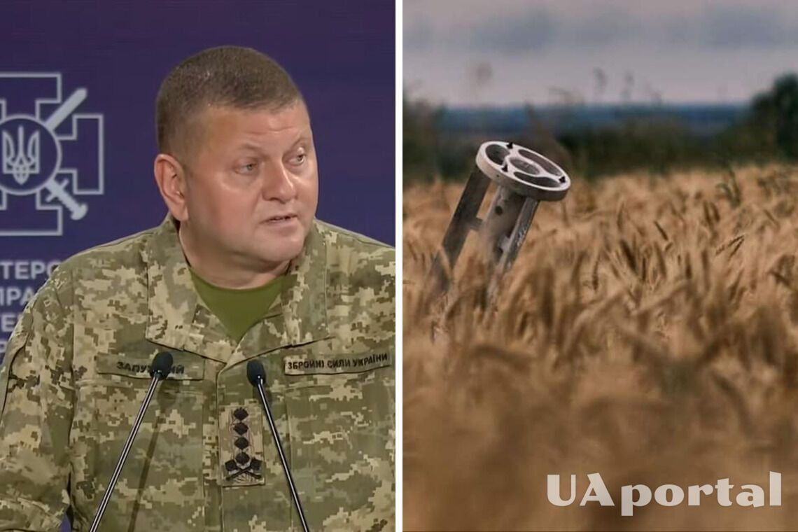 Залужный рассказал, сколько украинских воинов погибли в войне с рф