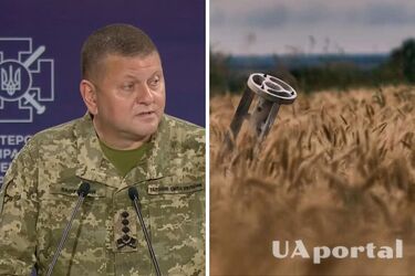 Залужный рассказал, сколько украинских воинов погибли в войне с рф