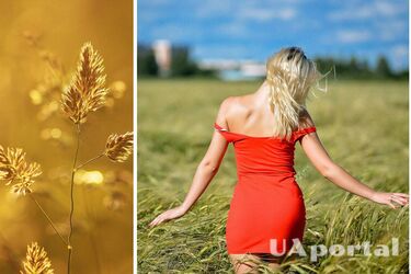 Спека в Україні не відступає: синоптики повідомили прогноз погоди на 23 серпня