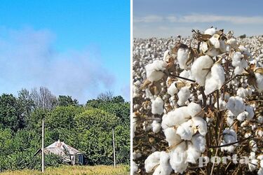 У Білгородській області знову сталася бавовна, оголошено евакуацію (відео)