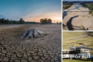 Засуха в Европе 2022 года