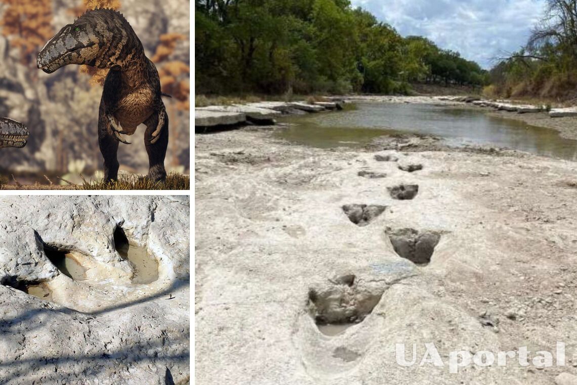 Следы динозавров нашли на дне реки в Техасе