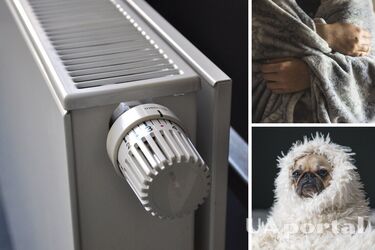 КМДА закликали киян зберігати тепло