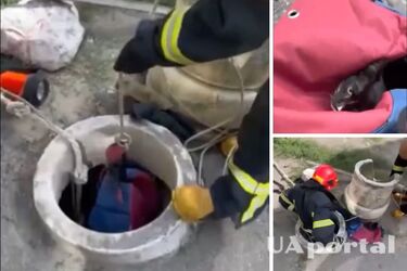 Рятувальники дістали кота, який впав у п’ятиметровий колодязь