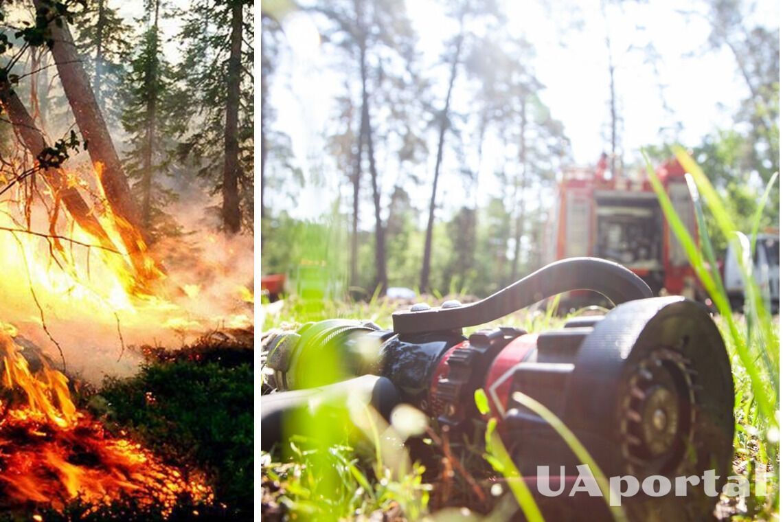 Погода 26 августа в Киеве – жара подняла уровень пожарной опасности в столице
