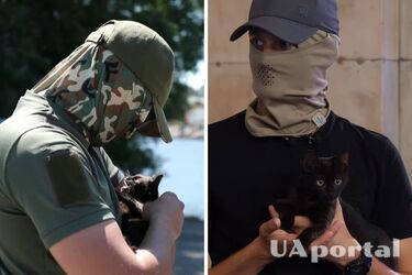 Кот стал талисманом освобожденного острова