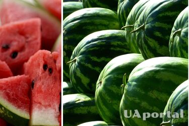 Через окупантів українці лишилися без херсонських кавунів