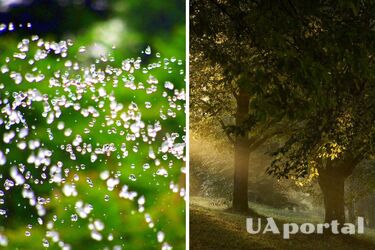 В Украину идет похолодание: синоптики сообщили прогноз на 30 августа