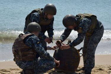 В ДСНС рассказали сколько времени нужно на разминирование Черного моря