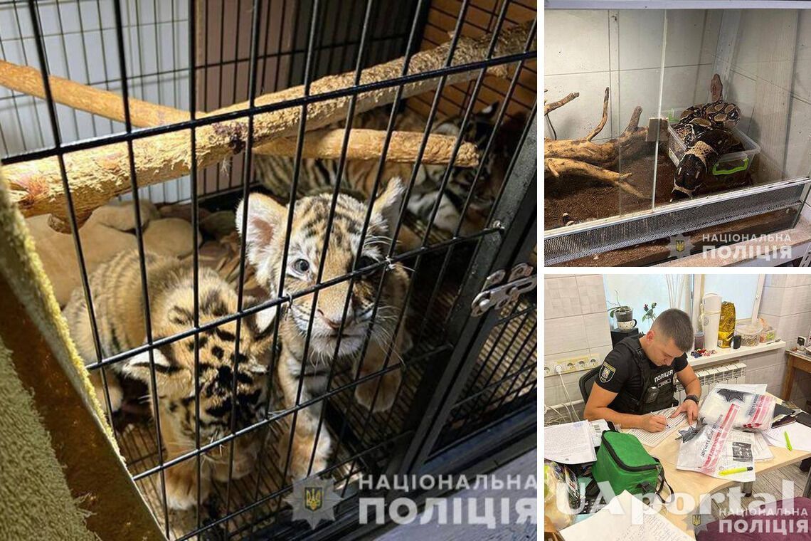 Зловмисники у Києві організували незаконну торгівлю екзотичними та дикими тваринами