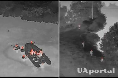 Коллаж Uaportal