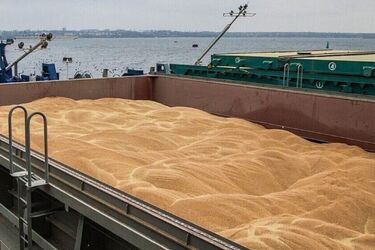 'Зерновой договор' в деле: ещё два корабля вышли с украинских портов