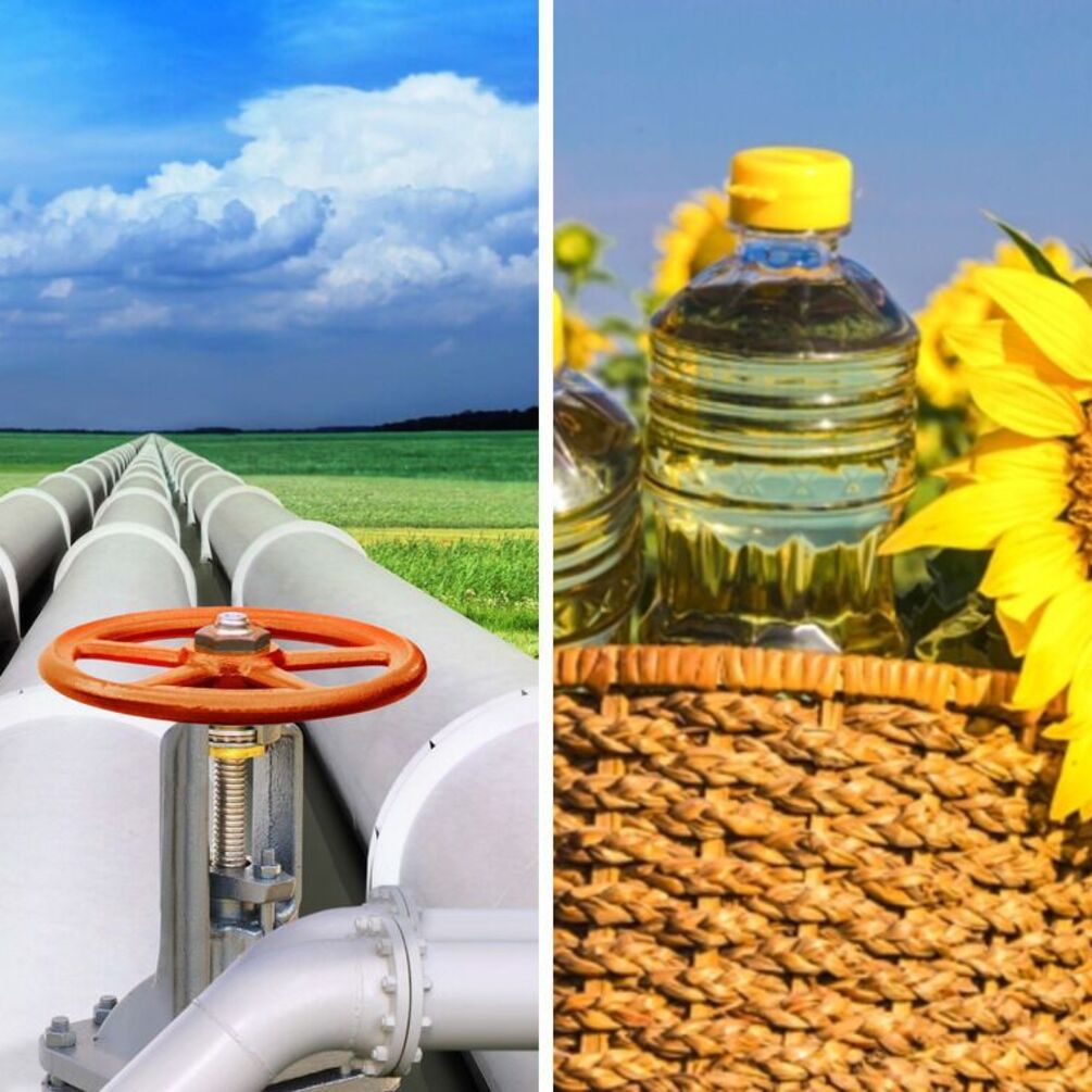 Как вода по трубам: растительное масло будут транспортировать по трубопроводу из Украины в Польшу