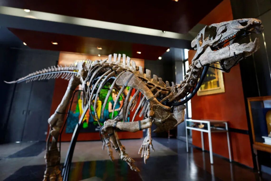 На аукционе в Париже выставили скелет динозавра, который можно приобрести за 500 тысяч долларов