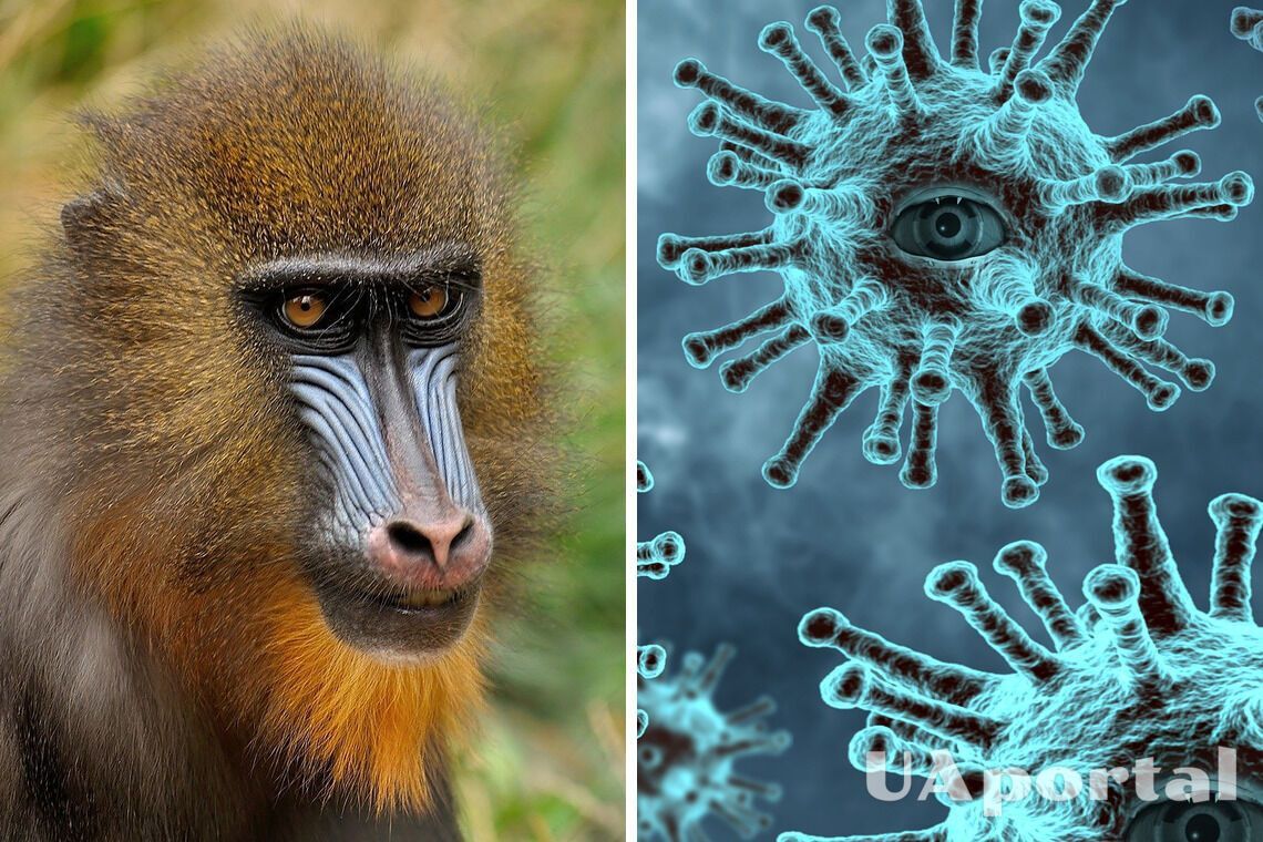 В США умер первый человек от оспы обезьян