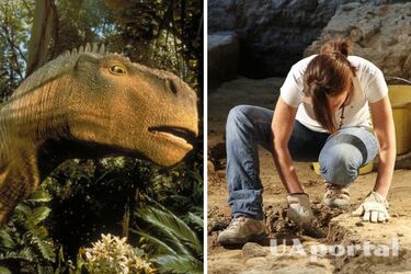 У Китаї виявлено яйця динозаврів, що схожі на грейпфрут (фото)