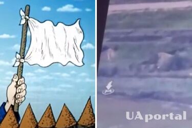 Оккупанты сдались ЗСУ подняв белый флаг