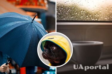 Над Украиной держится дождливый циклон