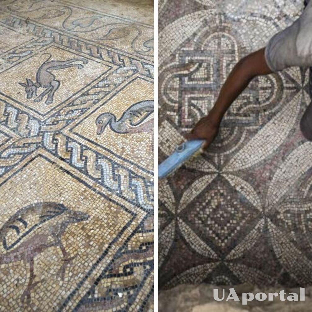 Палестинський фермер випадково натрапив на рідкісну візантійську мозаїку (фото)