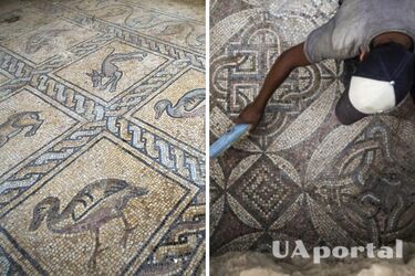 Палестинский фермер случайно наткнулся на редкую византийскую мозаику (фото)