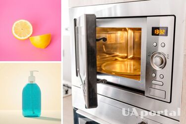 Как легко и безопасно отмыть микроволновку от жира и пятен