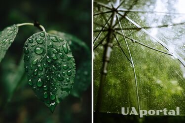 Cиноптики зробили прогноз на День осіннього рівнодення