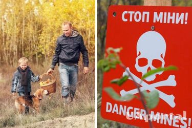  Стало известно, когда можно будет собирать грибы и безопасно гулять в лесу Киевской области