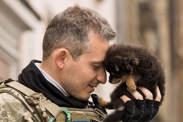 'Тато тепер автомобіль': Коля Сєрга познущався з мобілізації росіян (відео)