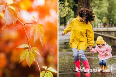 Cиноптики сделали прогноз на 26 сентября