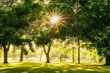 'Почти лето' придет завтра в Украину