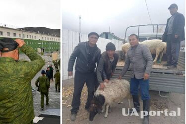 В Тыве за мобилизованного россиянина будут давать барана