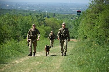Заблудившегося в горах Закарпатья уклонявшегося от призыва спасли пограничники